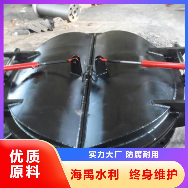侧开式拍门水利拍门源头直发供应商