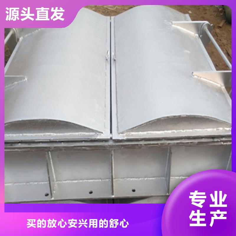 雙開門式拍門節(jié)能型拍門質(zhì)保一年本地制造商