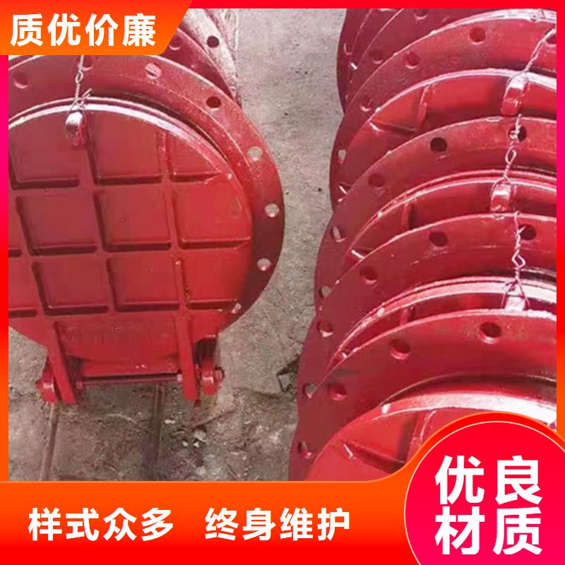 ​铸铁拍门方形拍门厂家专业生产本地经销商