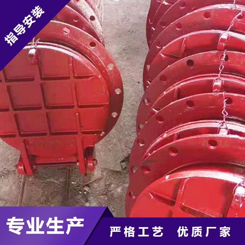 側開式拍門浮箱拍門廠家終身維護源頭采購