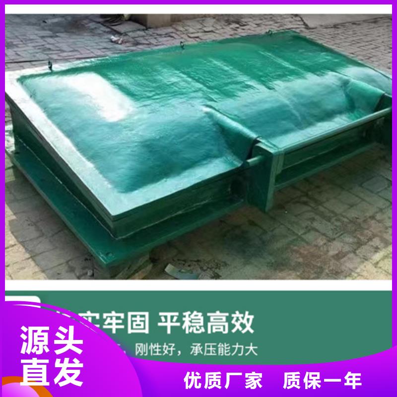 双开门式拍门方形拍门厂家防腐耐用好产品好服务