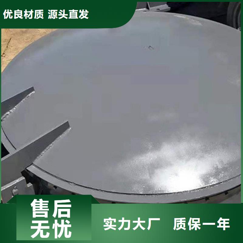 玻璃鋼拍門復合材料拍門廠家專業(yè)設計型號齊全