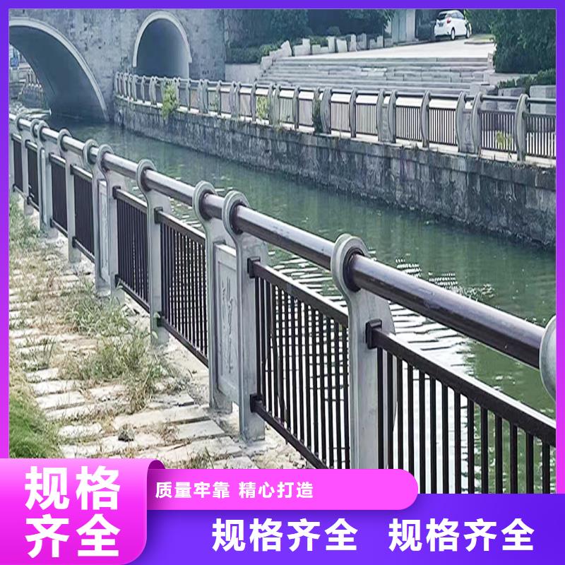 道路燈光欄桿市場當地制造商