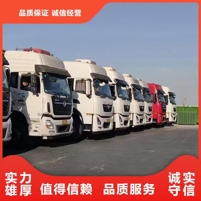 泗陽到西藏羊運輸-空調車專業品質