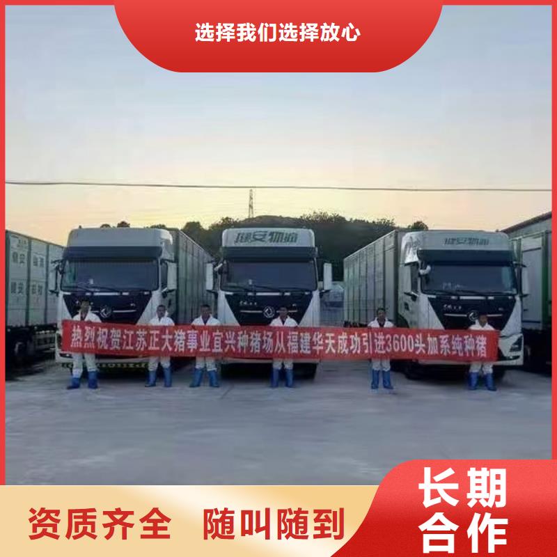 泗洪到镇江二育运输