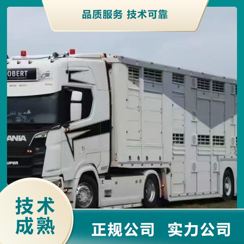 宿迁沭阳到无锡猪只贸易品质卓越