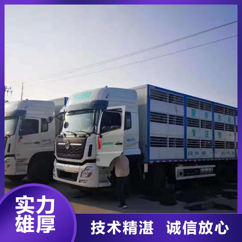 連云港到陽江恒溫車運輸-專用車良好口碑