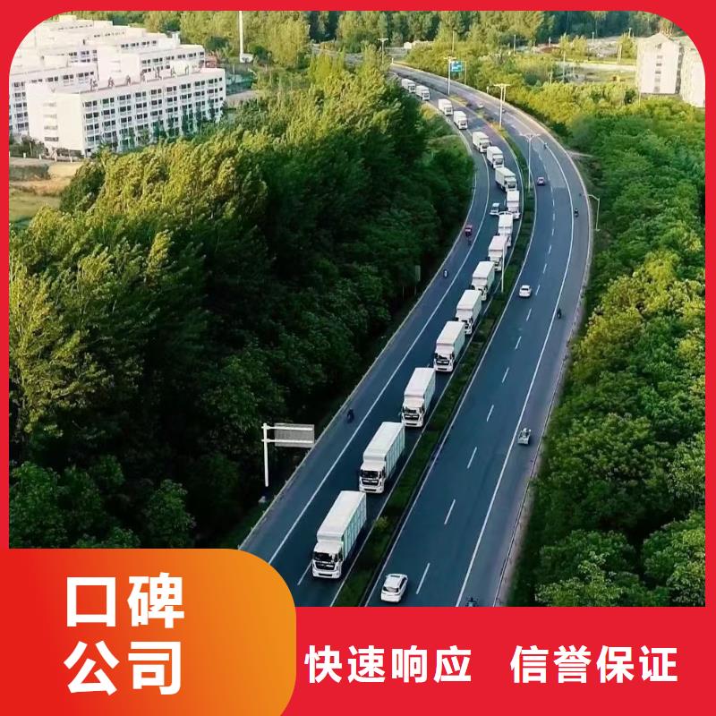 泗洪到舟山仔豬運輸