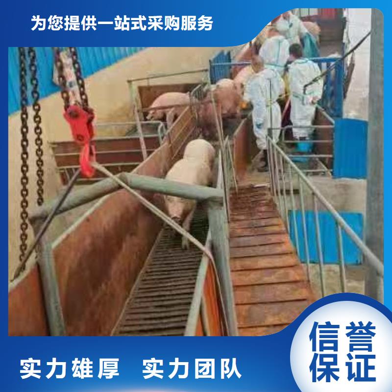 宿迁到景德镇畜禽运输-空调车绿色通道