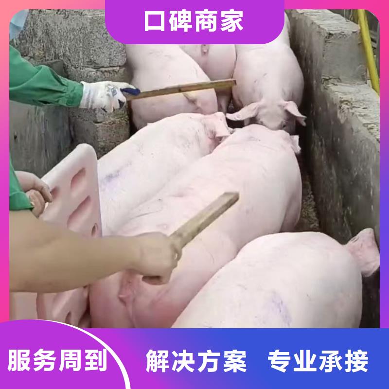 淮安到河南原料运输-专用车公道