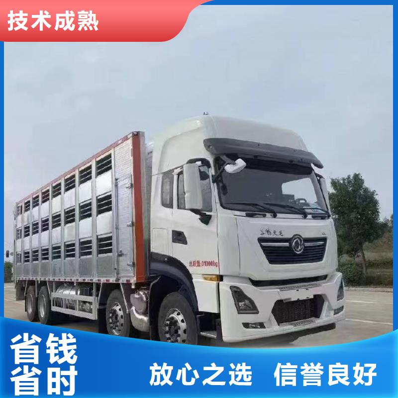 安徽到無錫種豬運輸