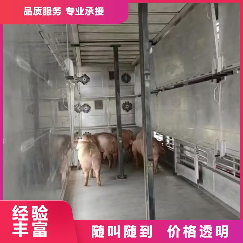 泗洪到無錫豬牛羊運輸