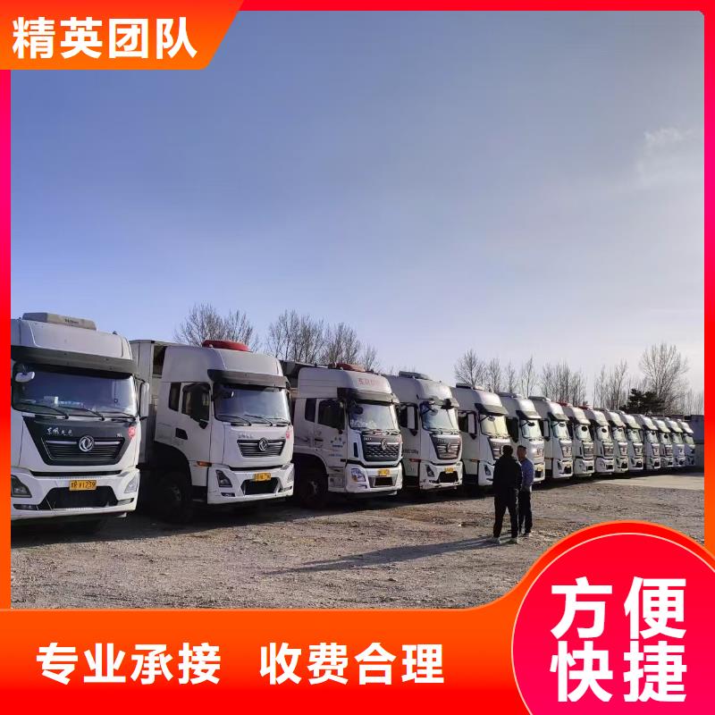 泗洪到徐州種豬運(yùn)輸方便快捷空調(diào)車運(yùn)輸