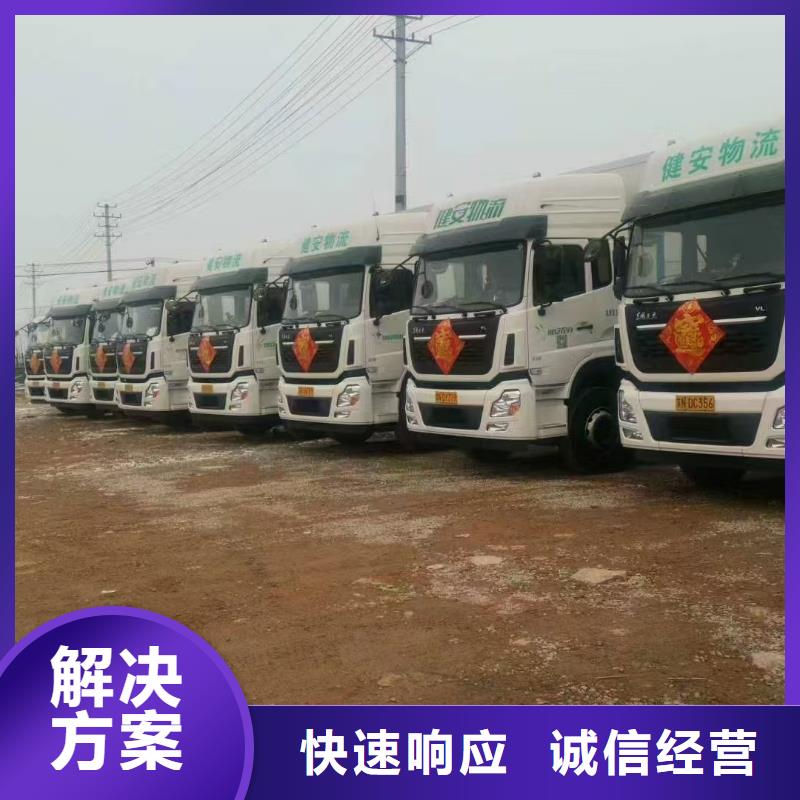 徐州到安阳种仔猪运输-空调车护航