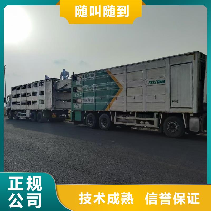 泗陽到滁州豬牛羊運(yùn)輸