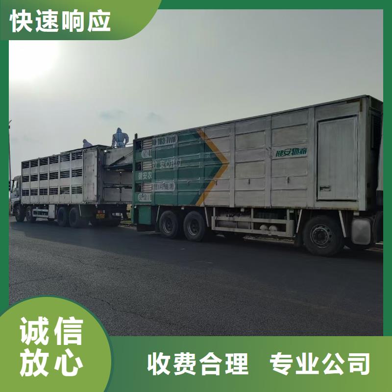 泗洪到淮南活禽运输