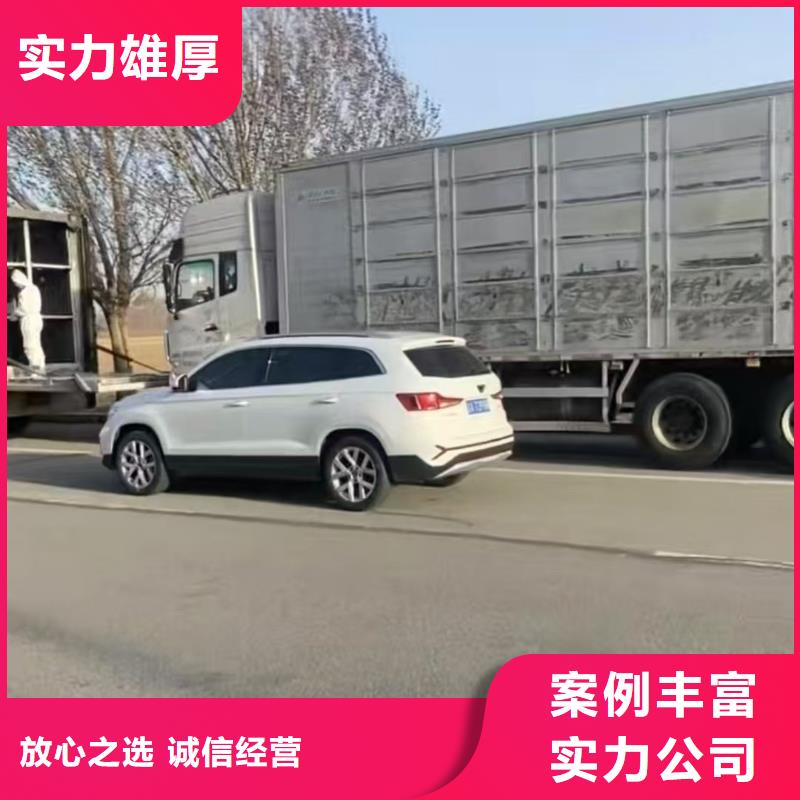 沭陽到衢州牛運(yùn)輸-專用車資質(zhì)齊全