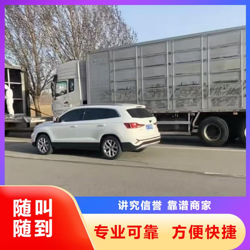安徽到寧波空調車運輸24小時為您服務種豬運輸