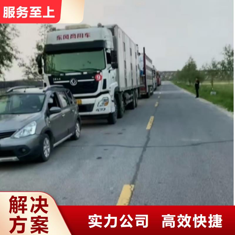 宿遷到衢州種豬運(yùn)輸