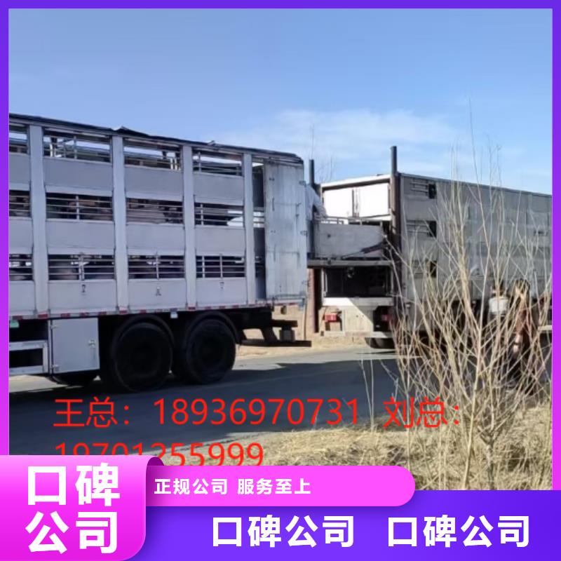 安徽到寧波豬牛羊運輸