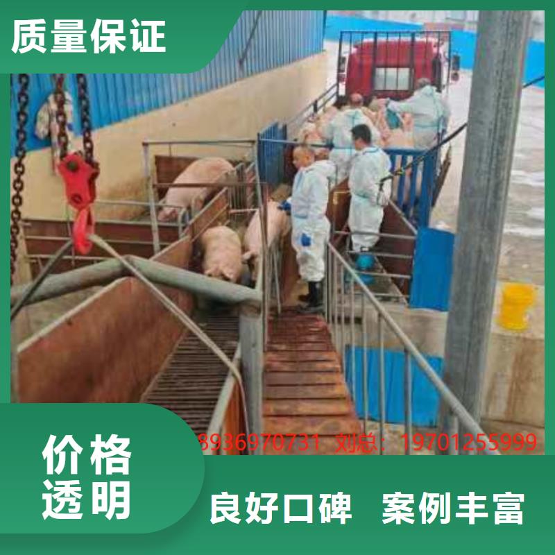 宿遷沭陽到北海生豬物流-專用車專業(yè)公司
