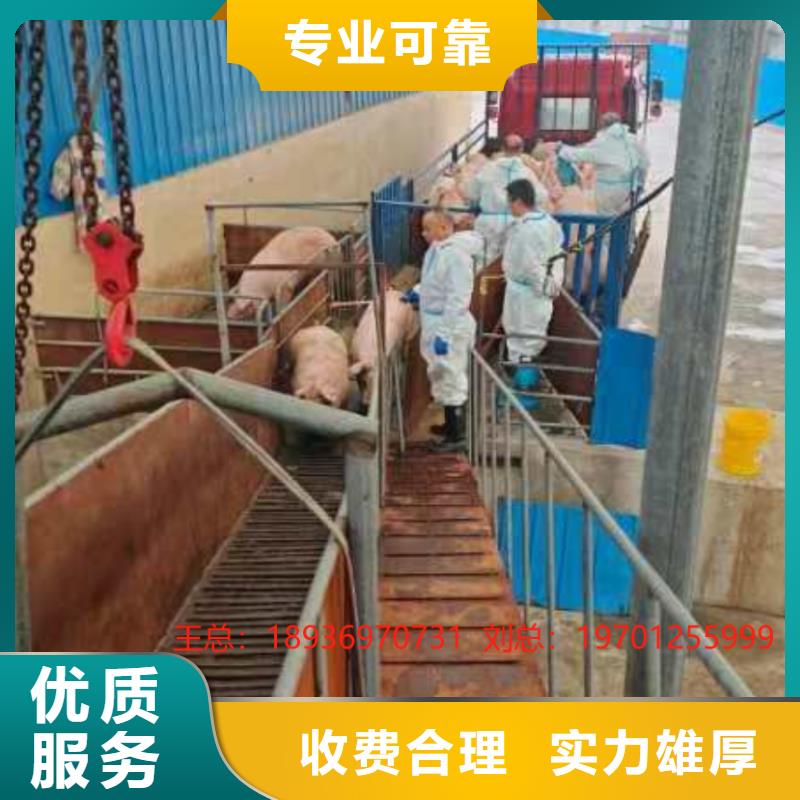 南通到徐州散裝料-恒溫車注重質(zhì)量