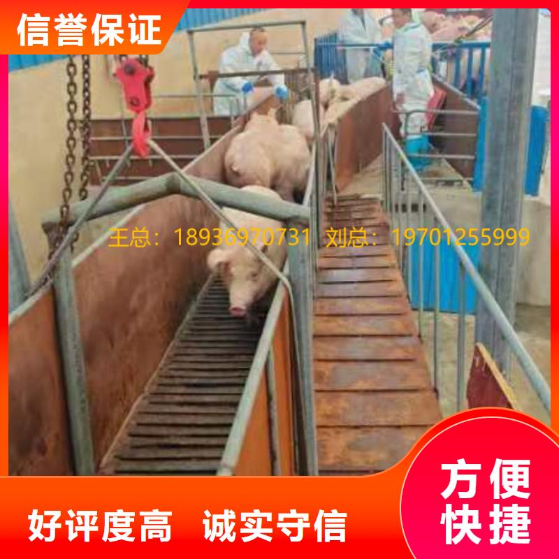 /FK29310279.html