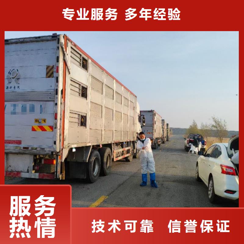 新北到衢州種豬運(yùn)輸空調(diào)車方便快捷