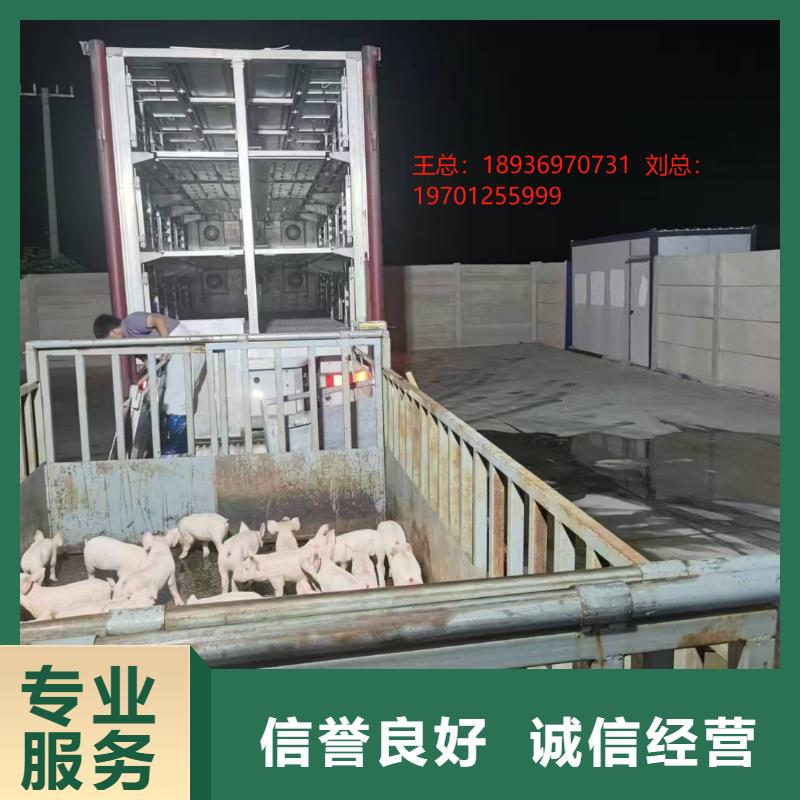泗陽到舟山豬牛羊運輸