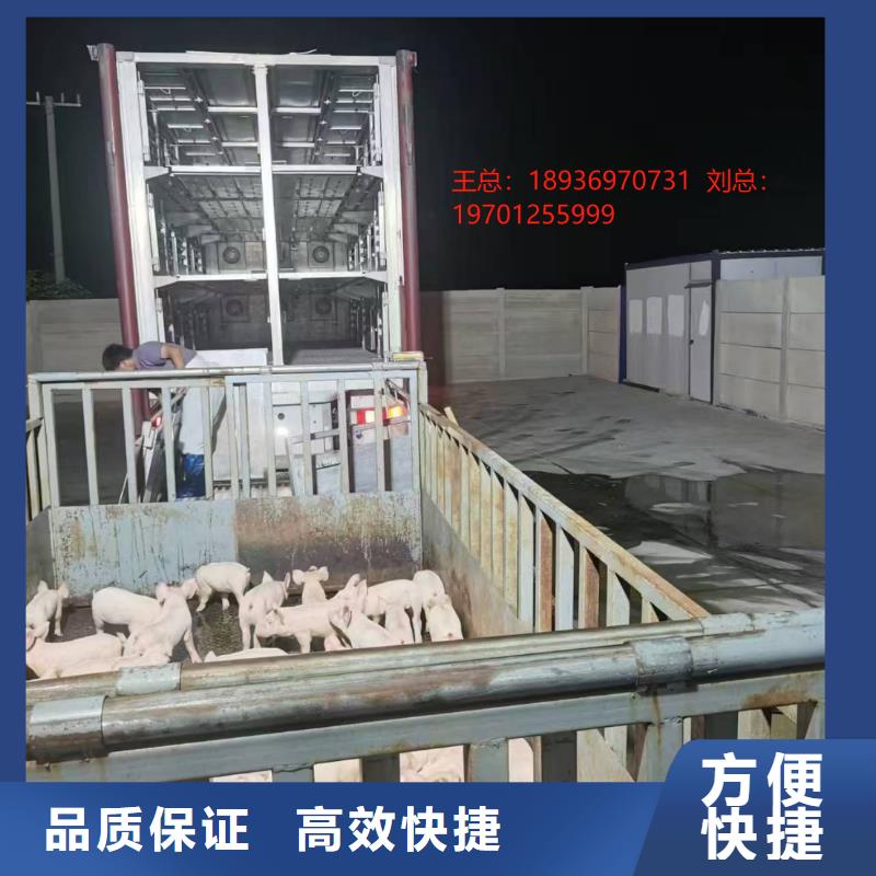 宿遷到南寧豬運輸-空調(diào)車實力團隊