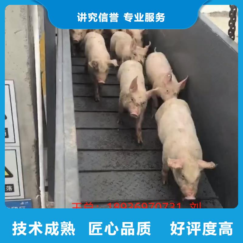 鹽城到肇慶生豬物流-恒溫車精英團(tuán)隊(duì)