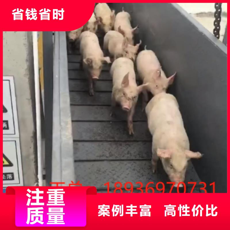 宿遷泗陽到克拉瑪依豬籠車物流-空調車實力雄厚