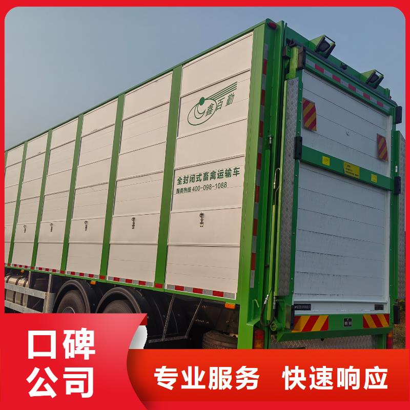 泰州到大興安嶺生豬物流-專用車服務周到