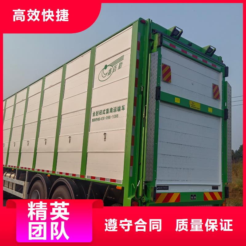 湛江豬籠車運輸品質卓越實力雄厚空調車運輸