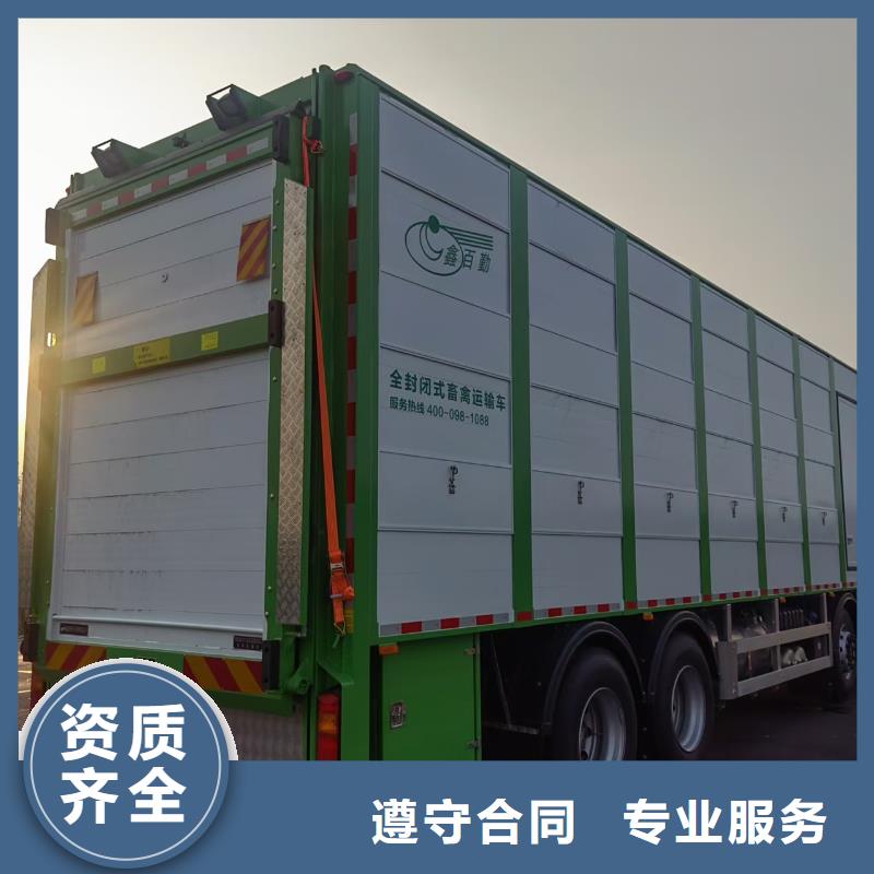 宿迁泗洪到河北恒温车运输行业领先