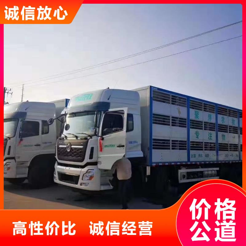 宿遷泗陽到豬籠車物流透明源頭廠家量大價(jià)優(yōu)