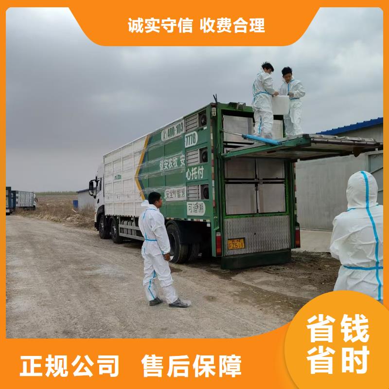 阜陽到仔豬恒溫車運(yùn)輸無損廠家直銷省心省錢