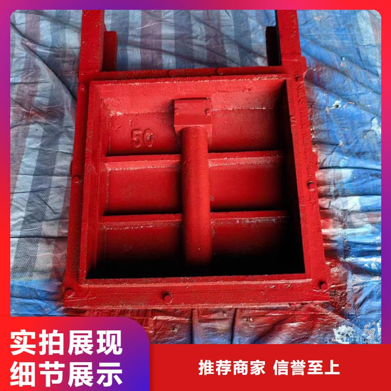 雨污分流閘門廠家直營出貨快