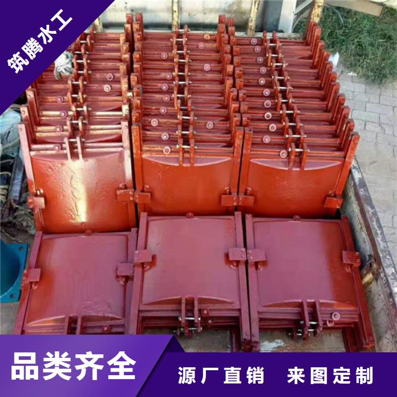 机闸一体式闸门型号齐全用心做产品