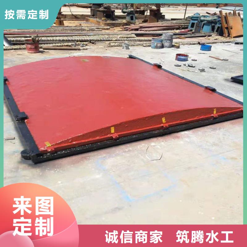 附壁式铸铁闸门厂家直销当地制造商