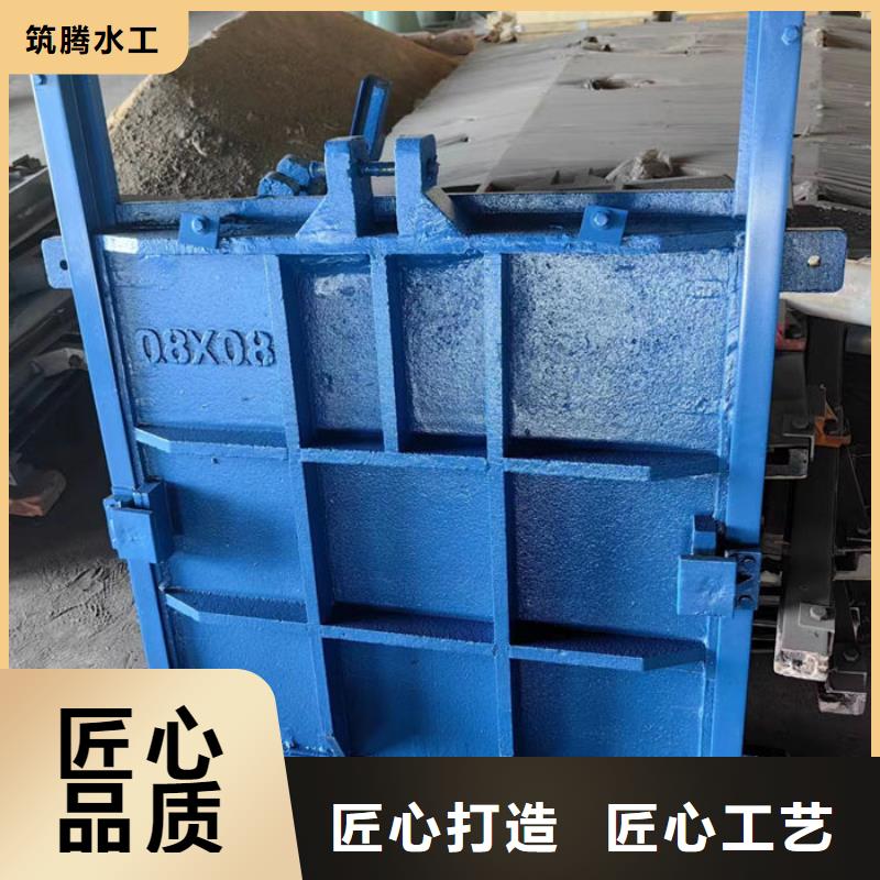 雨污分流闸门用心经营诚信商家服务热情