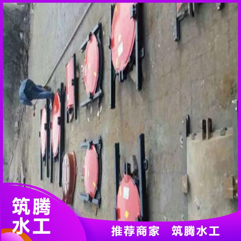 農田水渠閘門廠家直銷本地品牌