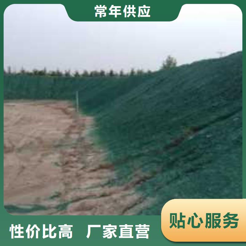 結殼抑塵劑181-3386-6866同城經銷商