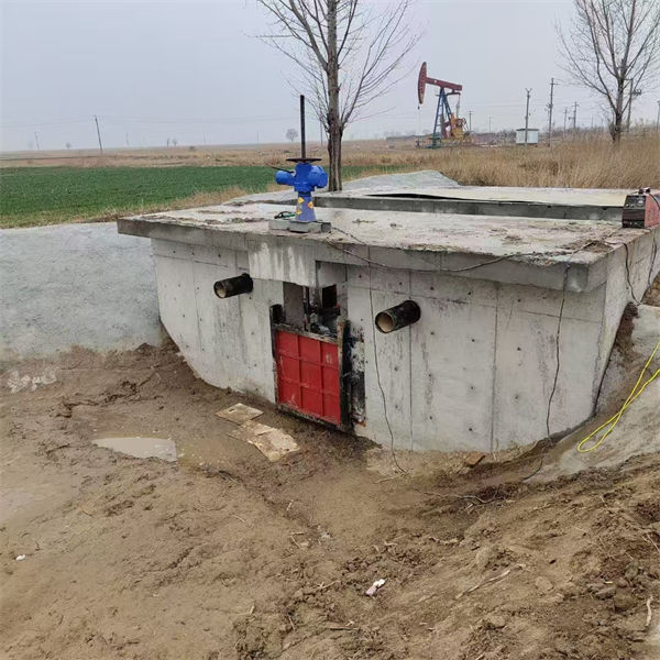 铸铁闸门镶铜铸铁闸门N年大品牌