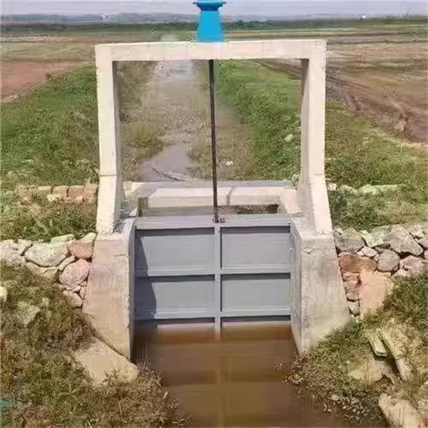 铸铁闸门镶铜铸铁闸门N年大品牌