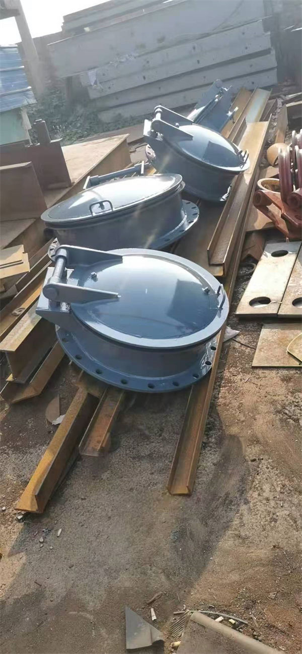 拍门钢拍门专业完善售后