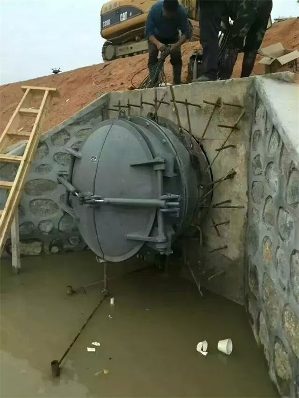 拍门钢拍门出厂价