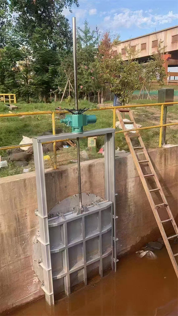 不銹鋼閘門附壁式不銹鋼閘門專業的生產廠家