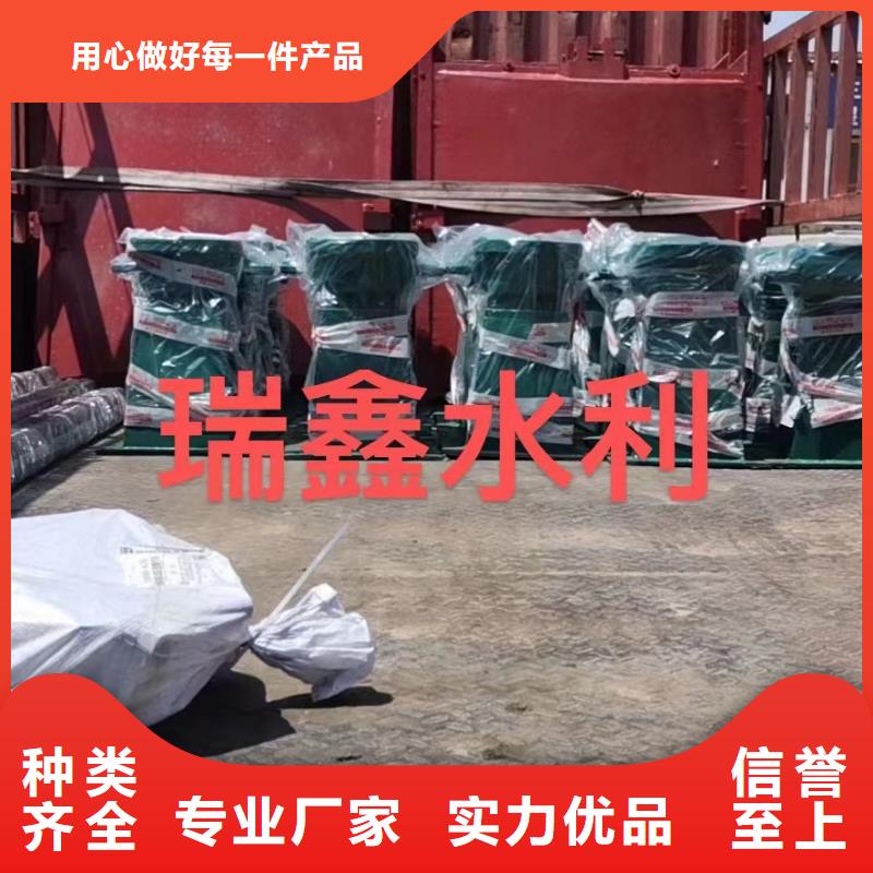 启闭机一致好评产品本地制造商