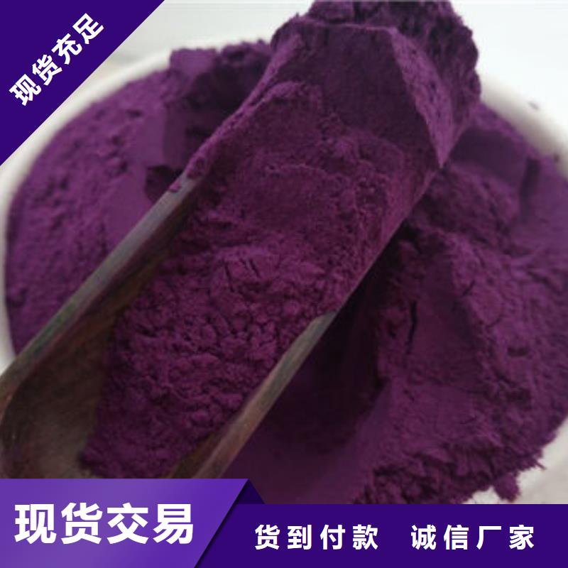 紫薯苗（济黑2号）种植方法长期供应